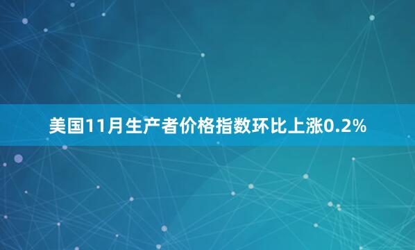 美國11月生產者價格指數環比上漲0.2%