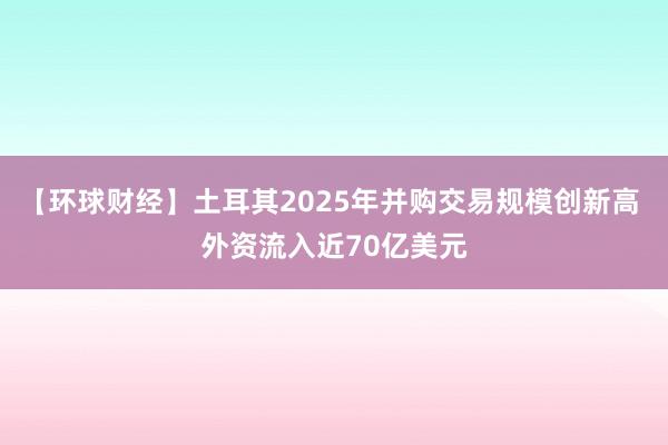 【環球財經】土耳其2025年并購交易規模創新高 外資流入近70億美元
