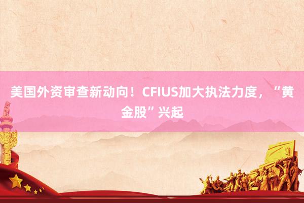 美國(guó)外資審查新動(dòng)向！CFIUS加大執(zhí)法力度，“黃金股”興起